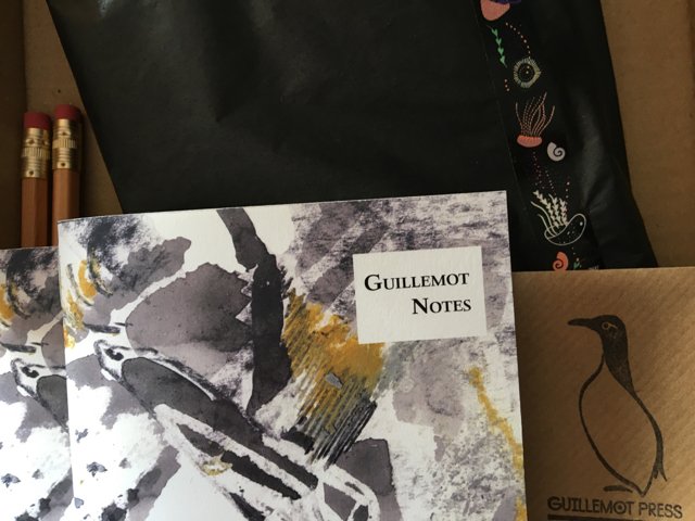 vcp24's tweet photo. Gorgeous pack of goodies from @GuillemotPress today. in time for The Littoral workshop with @hadfield_jen & @roseferraby. Thank you so much! https://t.co/WbYAg0ngb1