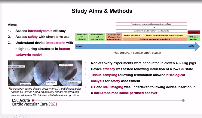 rafavidalperez tweet media