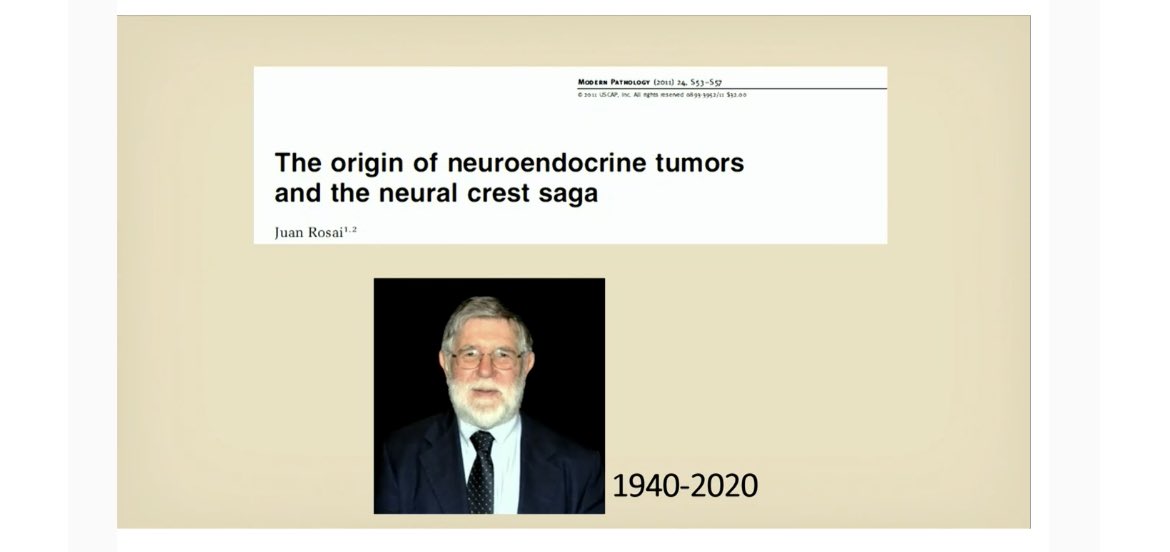 feldstej's tweet photo. #USCAP2021 #MaudeAbbot #HonoringDrRosai #NETumors https://t.co/xfHeithsOh
