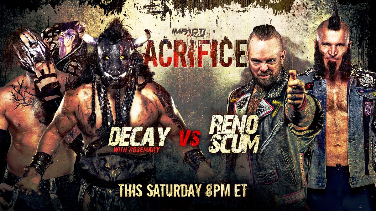 TrillerTV tweet media