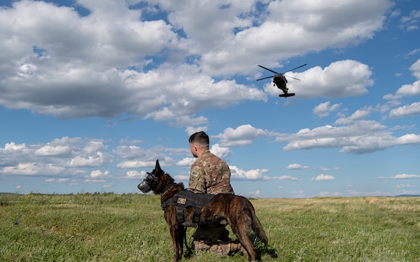 KVG_HQ's tweet photo. Today is National #K9Veteransday, a special day to commemorate the service and sacrifices of American military &amp; working dogs throughout history.

Thank you for your service to defend our nation and freedom! 

#KVG #KVGTeam

Photo courtesy of Staff Sgt. Amberlee Boverhuis / DVIDS https://t.co/V0orZUEMGa
