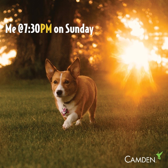 LamarHeights's tweet photo. It’s Daylight Saving this weekend! Don’t forget to spring forward one hour early Sunday morning. https://t.co/fCRLD9BVAD