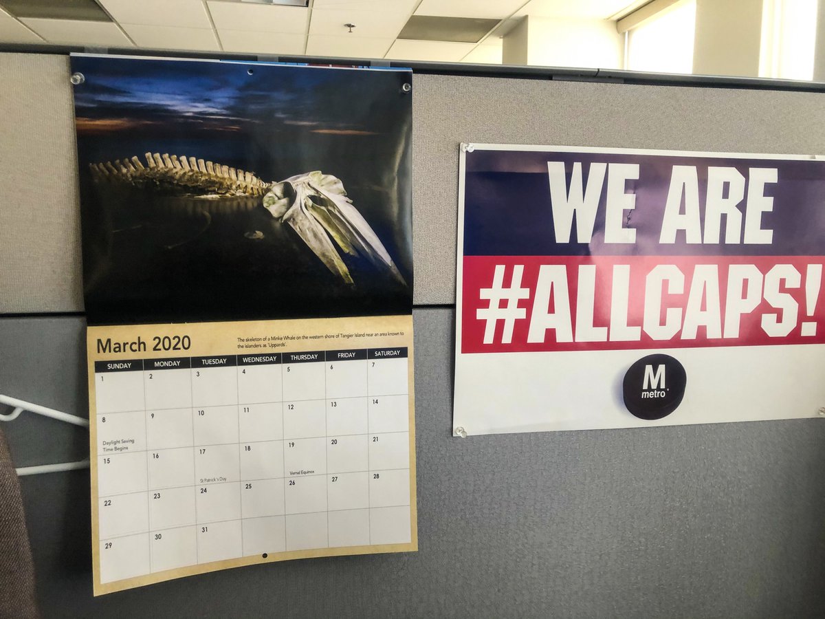 Amanda Reilly tweet media