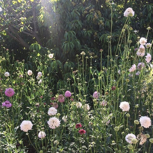 astrospic's tweet image. 