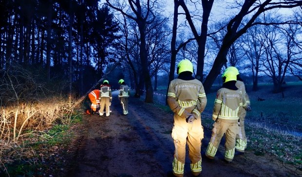 Omgewaaide boom over de weg in Molenhoek - ..