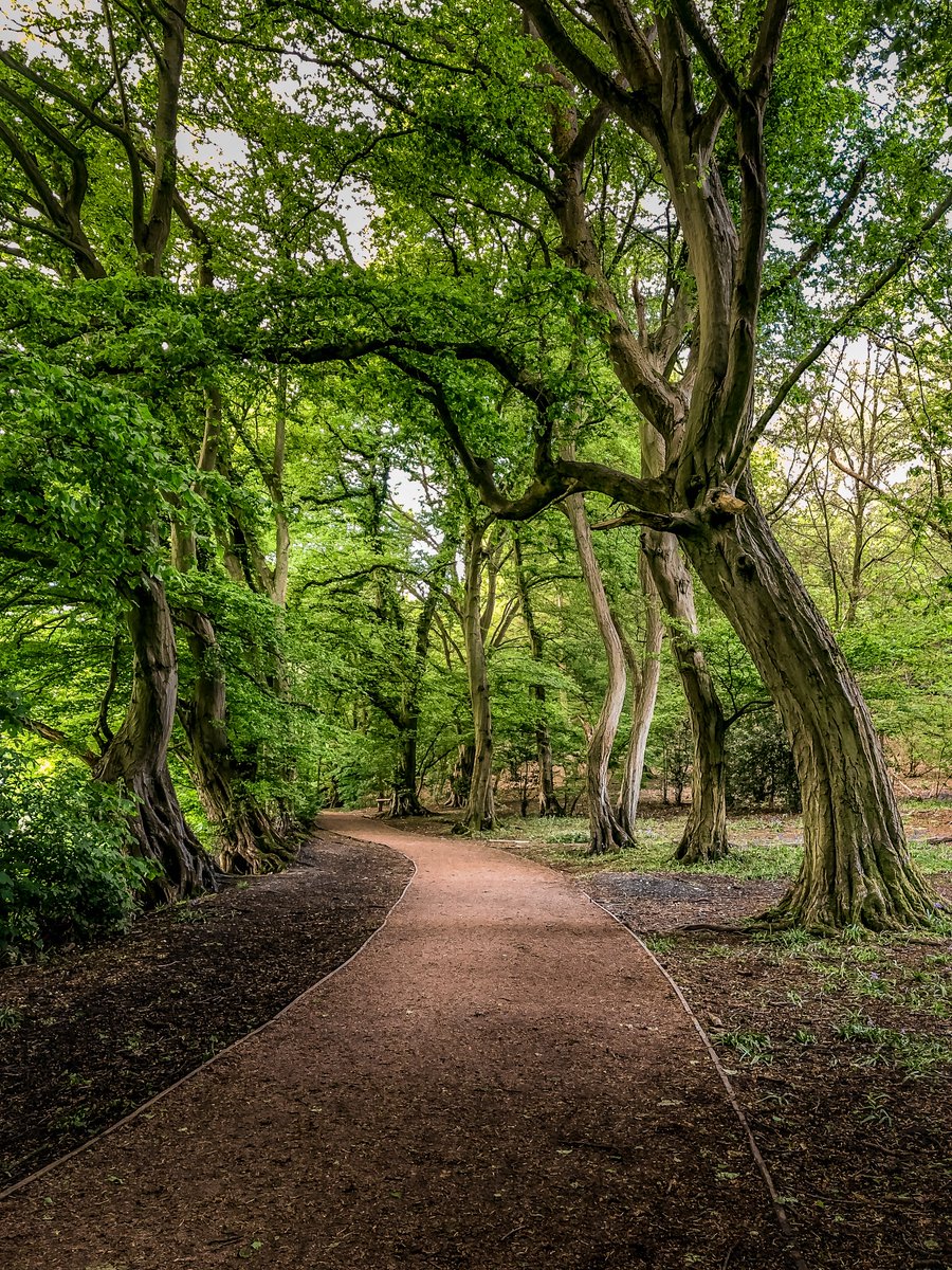 Anderson Photography tweet media