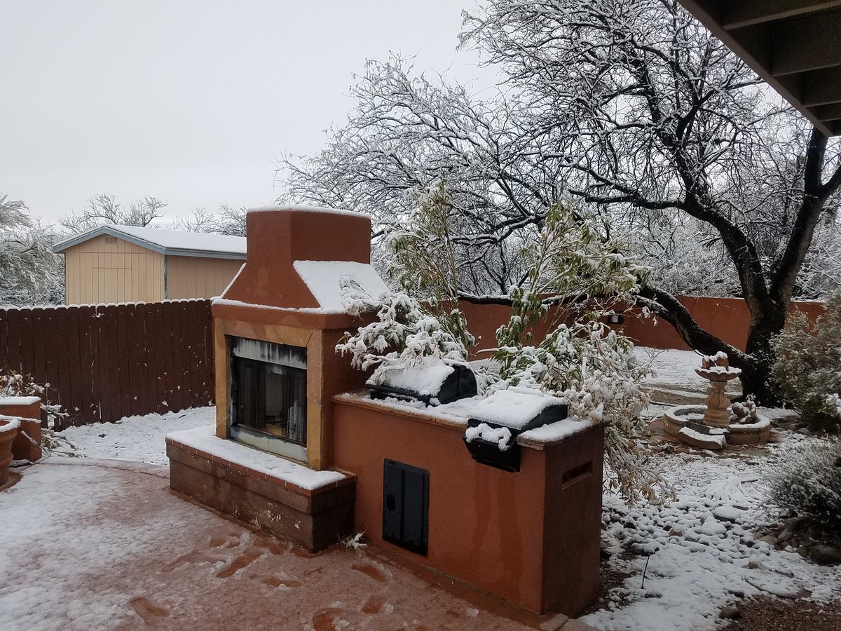thecollierhill's tweet photo. Backyard scenes in #tucson @whatsuptucson @KVOA https://t.co/L7NGV4bT1d