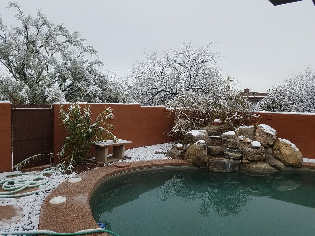 thecollierhill's tweet photo. Backyard scenes in #tucson @whatsuptucson @KVOA https://t.co/L7NGV4bT1d