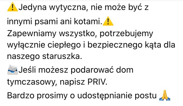 ghostnly's tweet photo. Misie, takie słoneczko szuka awaryjnego domu tymczasowego. Jedyna wytyczna to brak innych psów i kotów w domu.
Pomóżcie temu dziadziusiowi ☹️
#rt #tweetme https://t.co/getDrnJyR7