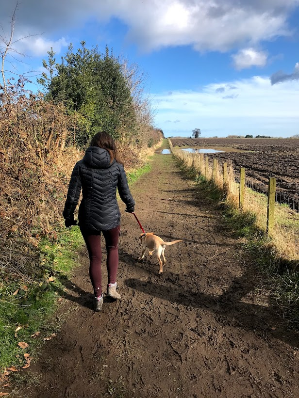 ClaudiaEsnouf's tweet photo. Looking for walks to go on in Scotland. What are your favourite ones? Any ideas or blog links welcome! #walks #edinburgh #scotland #walkingcommunity #hikers #ramblers #visitscotland #scotlandwalks #hikingcommunity #hiking #travel #daywalks #scottishwalks #longdistancewalks https://t.co/UVsv20aqZc