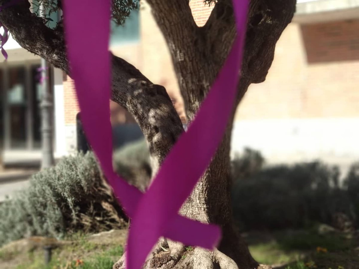 DiversasNaval's tweet photo. Así  de bonita hemos dejado la plaza del teatro de #Navalcarnero. Cualquier día es bueno para reivindicar que queremos ser libres e iguales ya que el 8 de marzo, por las prohibiciones y la poca colaboración de las instituciones, no pudimos realizar nuestras acciones 💜 #8M2021 https://t.co/P54bI10xVo