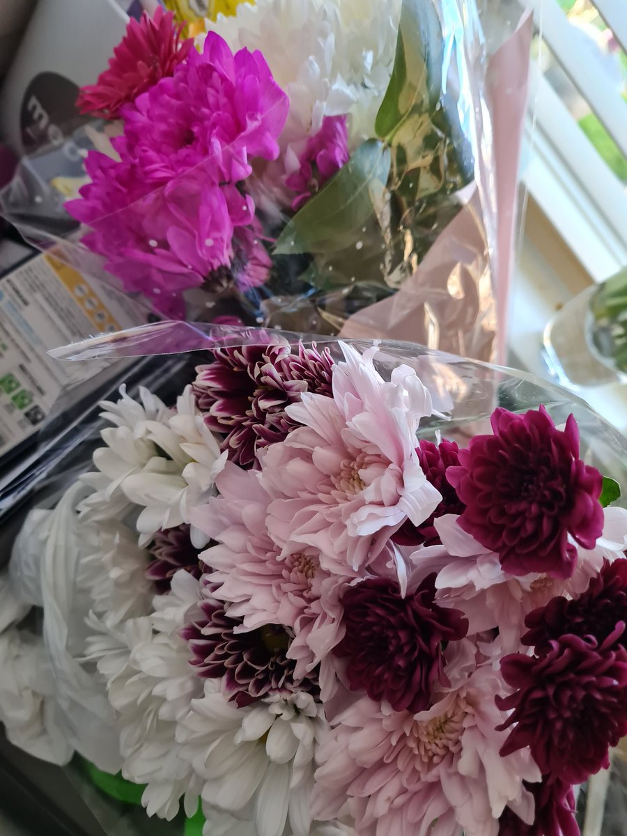 Worzel_Gum's tweet photo. Hope you like the flowers @FootMistress 🥰🥰❤⚘ https://t.co/f4dPRCOOoe