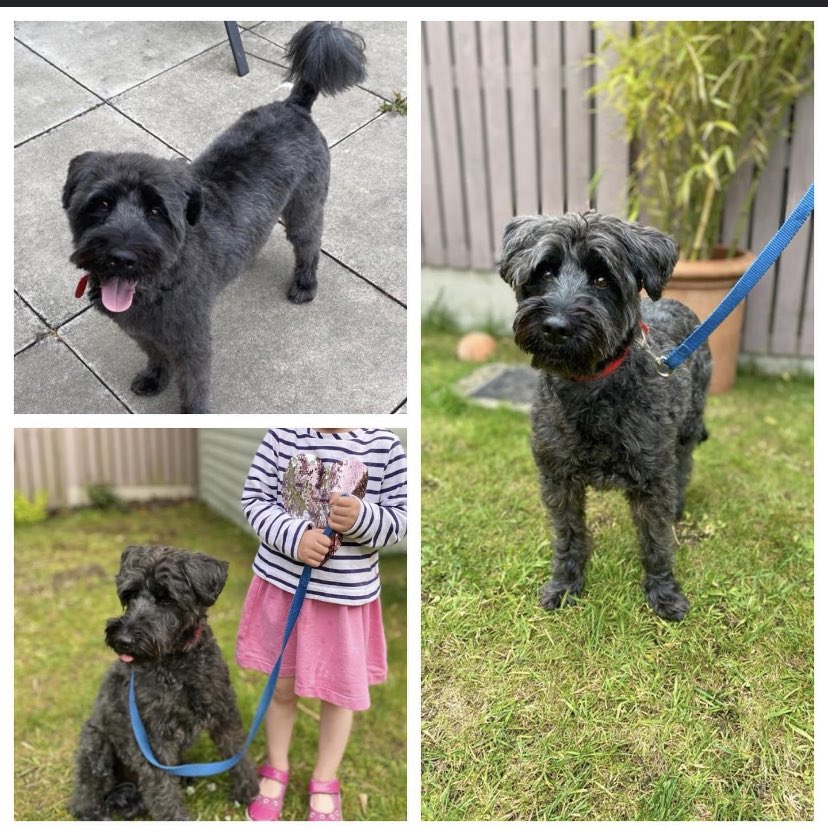 Yvonne Fahy tweet media