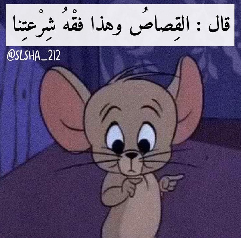 رياكشنات توم وجيري tweet media