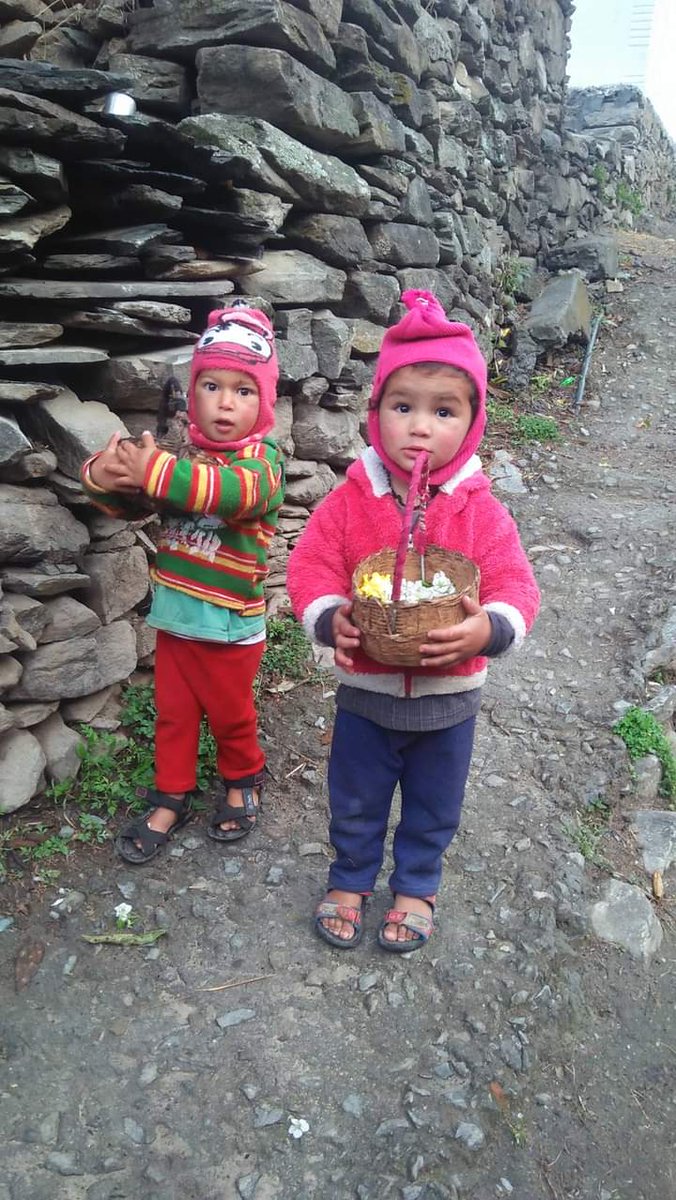 jaidevbhumi's tweet photo. #फूलदेई
Let us bring a smile and joy on our souls and faces! Today is #PhoolDei, a traditional folk festival of #Uttarakhand 
The festival conveys the beauty of nature, the joys of changing seasons and the start of a new harvest season. #happyPhoolDei   #फूलदेई  #फूलदेई_लोकपर्व https://t.co/bXboquQOqe