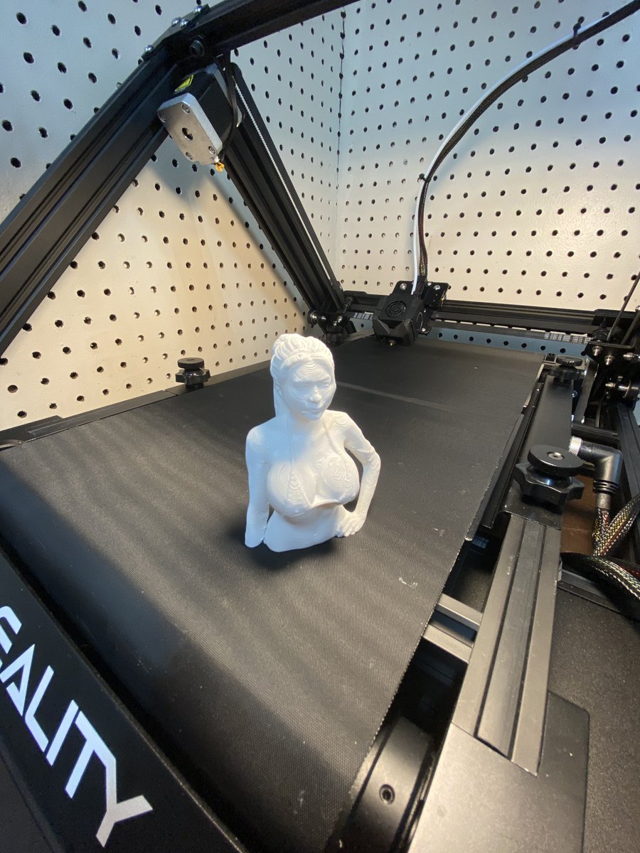 nohowtech's tweet photo. I printed @RealSexyCyborg on the 3DPrintMill! First impressions video dropping soon (spoiler: this thing is awesome) https://t.co/ob8BPIsPdy