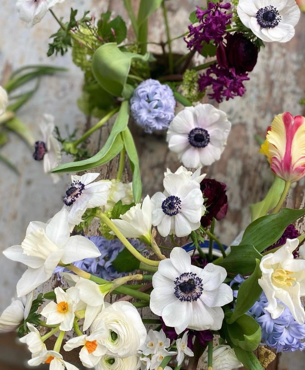 toryburch's tweet photo. In honor of UK Mother’s Day this weekend, #ToryDaily caught up with floral stylist Willow Crossley for a conversation on flowers, family and the greatest lessons she’s learned as a mom #ToryBurchSS21 #ToryBurchHome #ToryBurch https://t.co/cdkE1w22Mh https://t.co/bLJMN824hr