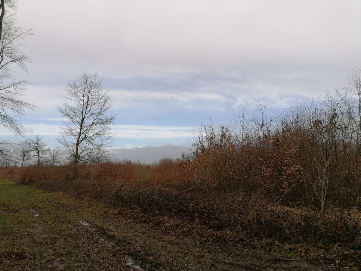 LoicTrail's tweet photo. L'Extrême Pic'Hard 2021, une course pas comme les autres... Difficile mais j'ai adoré !!! 🤪
Du vent, des côtes, des ronces, de la boue bref il manquait que la pluie 😂
#happyrunnersCTV #crepyenvalois https://t.co/3PgCGRFHNF