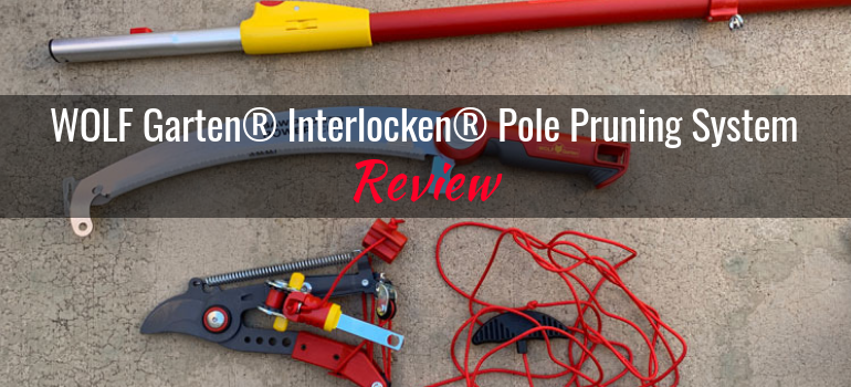 GardenJunkie1's tweet image. I liked the WOLF-Garten® Interlocken® system very much. It cut down on the number of handles typically dedicated to each gardening/landscaping tool. WOLF-Garten® Interlocken® Pole Pruning System: Product Review bit.ly/2Iyttjk #wolfgarten #gpreview #pruningtools #pruning