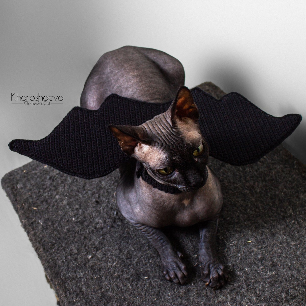 ClothesForCat's tweet photo. Thanks for the kind words! ★★★★★ "This stitched up perfectly for the pattern I needed it for!" heather m. https://t.co/BFjJu0xh38 #etsy #birthday #halloween #crochet #catcostume #batcatwings #catcrochetpattern #catpdf #halloweencatwings #wingsforsphynx https://t.co/itxByq0uUg