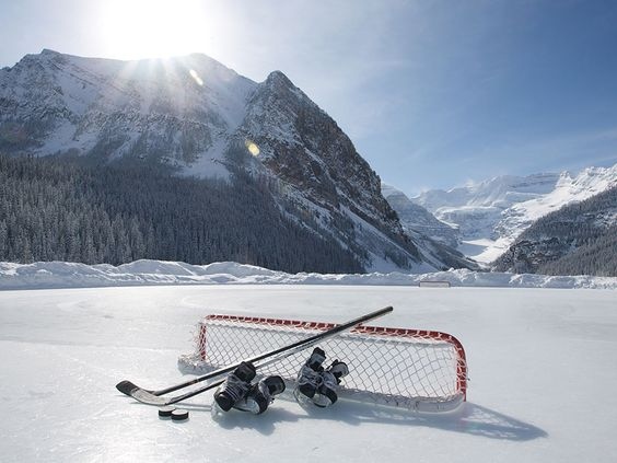 Paradise 😍 

RT if you'd love to skate here.