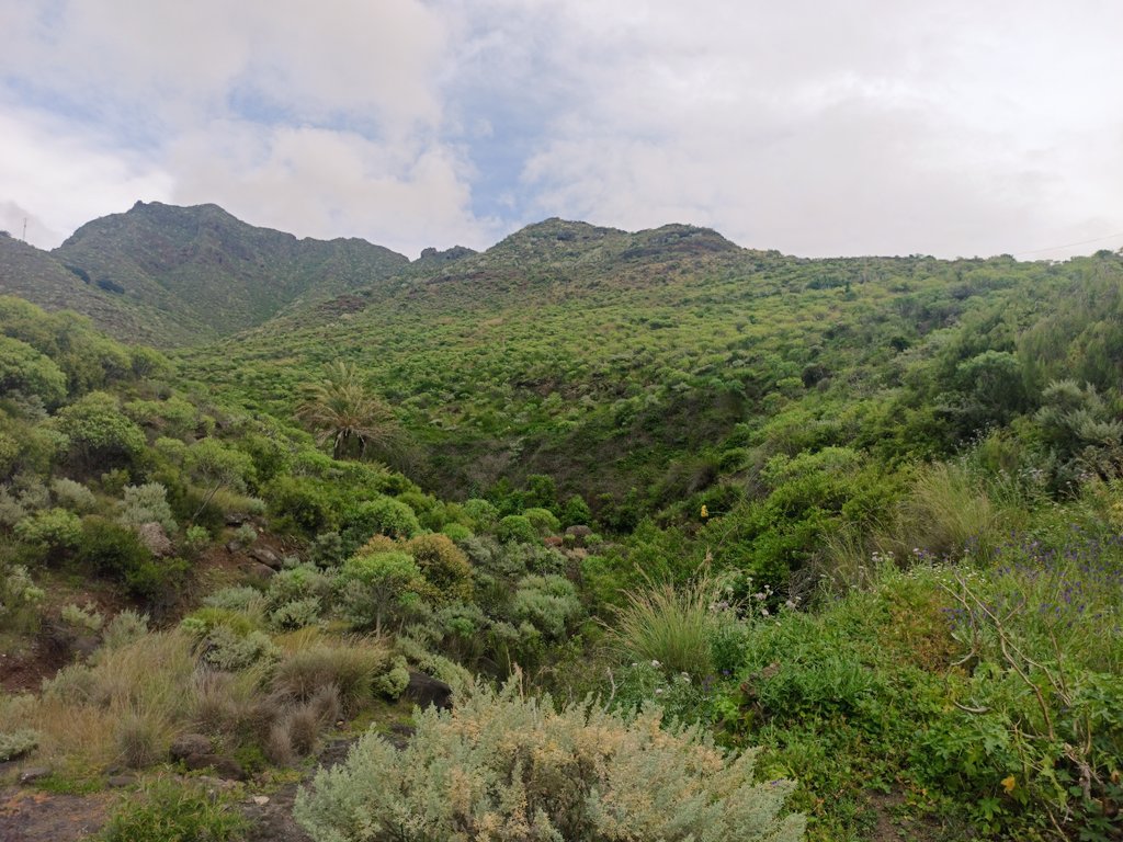 VCorreaTF's tweet photo. 🌄 🚶🏻@LoqueVeoTfe de pateo por #Anaga que finalizó con la espectacular estampa de #Taganana  #Tenerife #Canarias https://t.co/Gf31G7SLyN
