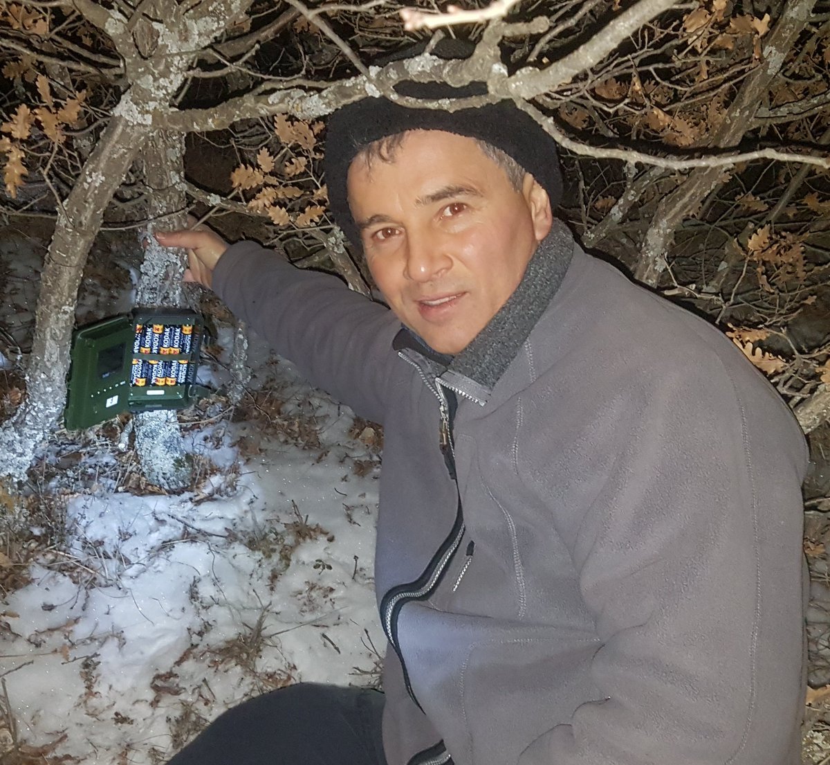 SagdanBaskaya's tweet photo. 🐾Yaban hayatımızı,  özellikle Pars, Vaşak, Kurt ve Ayı gibi büyük yırtıcılarımızı çalışmaya, foto-filmlerini çekmeye devam ediyoruz.
🐾Dağlarda hava bu aralar geceleri eksi 10-20 arası, yani soğuk. Ancak, gece çalışmak ayrı bi güzel. 
🐾Bitmez bu sevda
🇹🇷KTÜ Yaban Hayatı, Pars61 https://t.co/3Nnn99zwmH