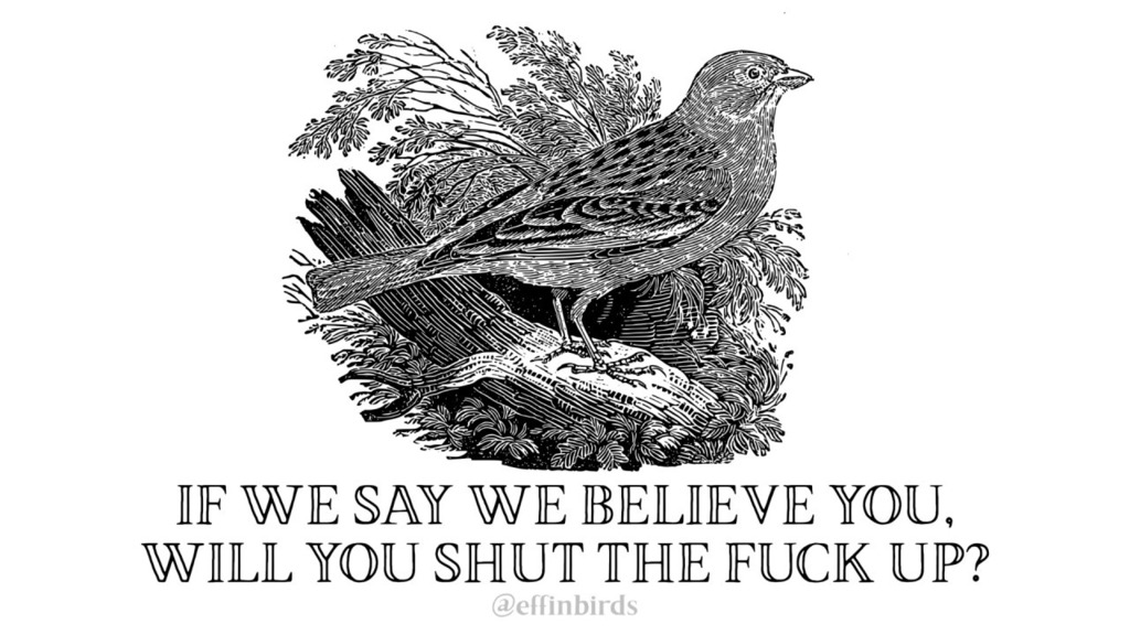 EffinBirds's tweet photo. https://t.co/j3aApDJrYM