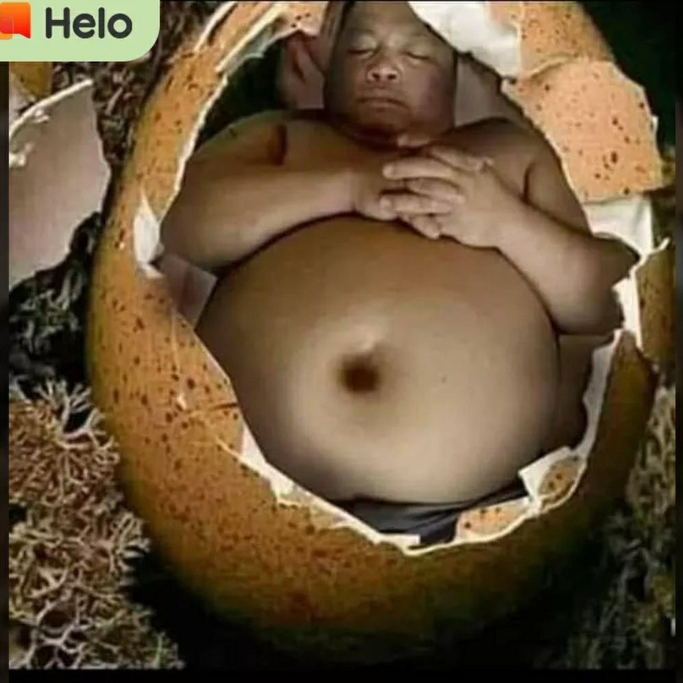 Kontol Kuda @KontolK17697808 - Twitter Profile | Sotwe