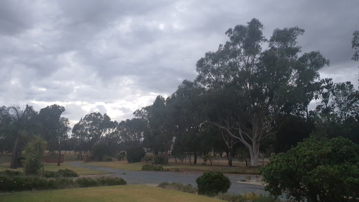 First day of virtual onboarding for <a href="/beondeck/">On Deck now ODF</a> with an early start and kookaburras out somewhere in regional Victoria. Thanks <a href="/isolive/">Laís de Oliveira</a> and <a href="/kellyjisun/">Kelly Kang</a> for the kick off! #odcb1