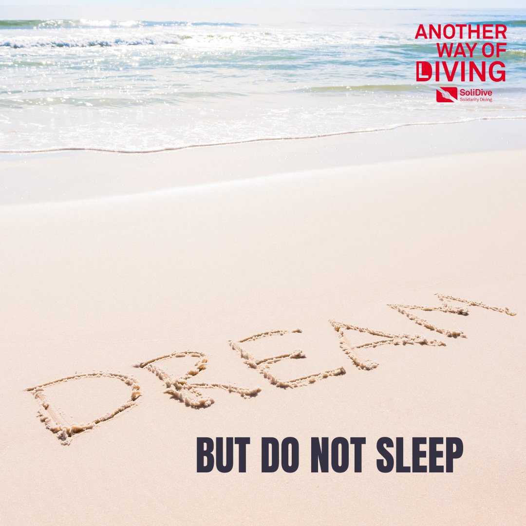 Dream... But do not sleep! 😉
#BuceoSolidario #SolidarityDiving #TurismoResponsable #SaveTheOceans #FreeDolphins #FreeWhales