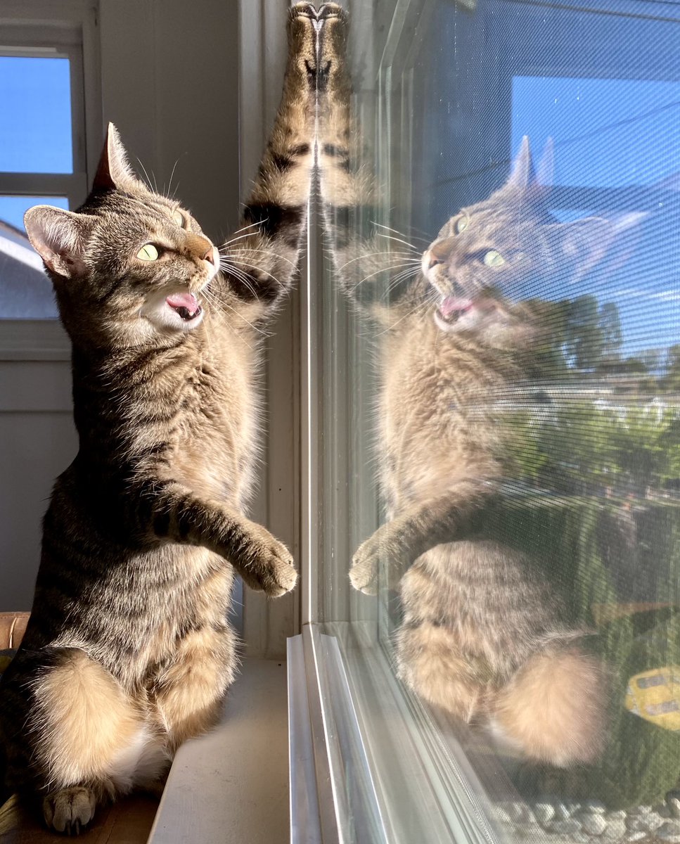 Emily Womack (she/her) tweet media