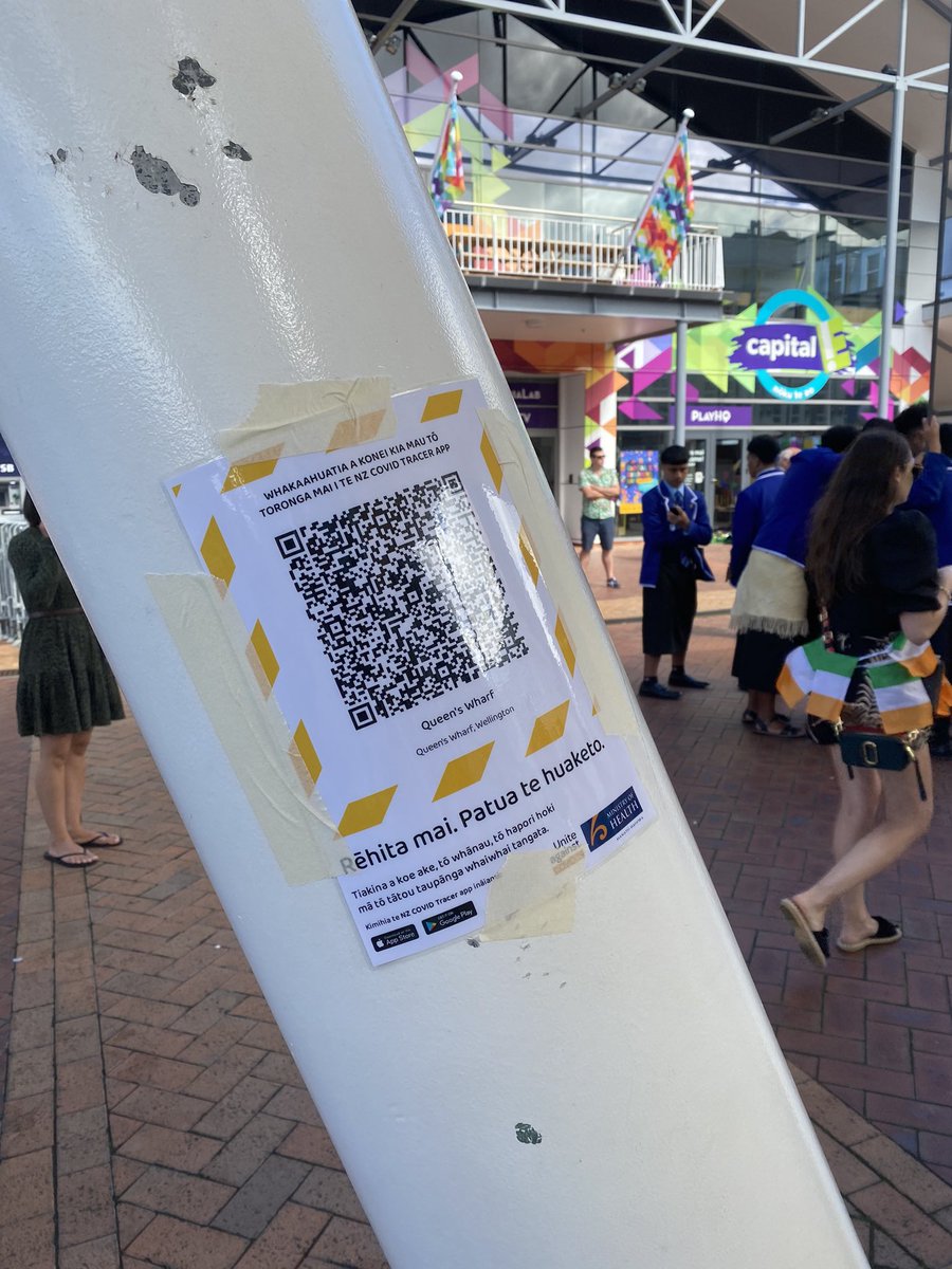 YellowBelliesNZ's tweet image. #scanscanscan