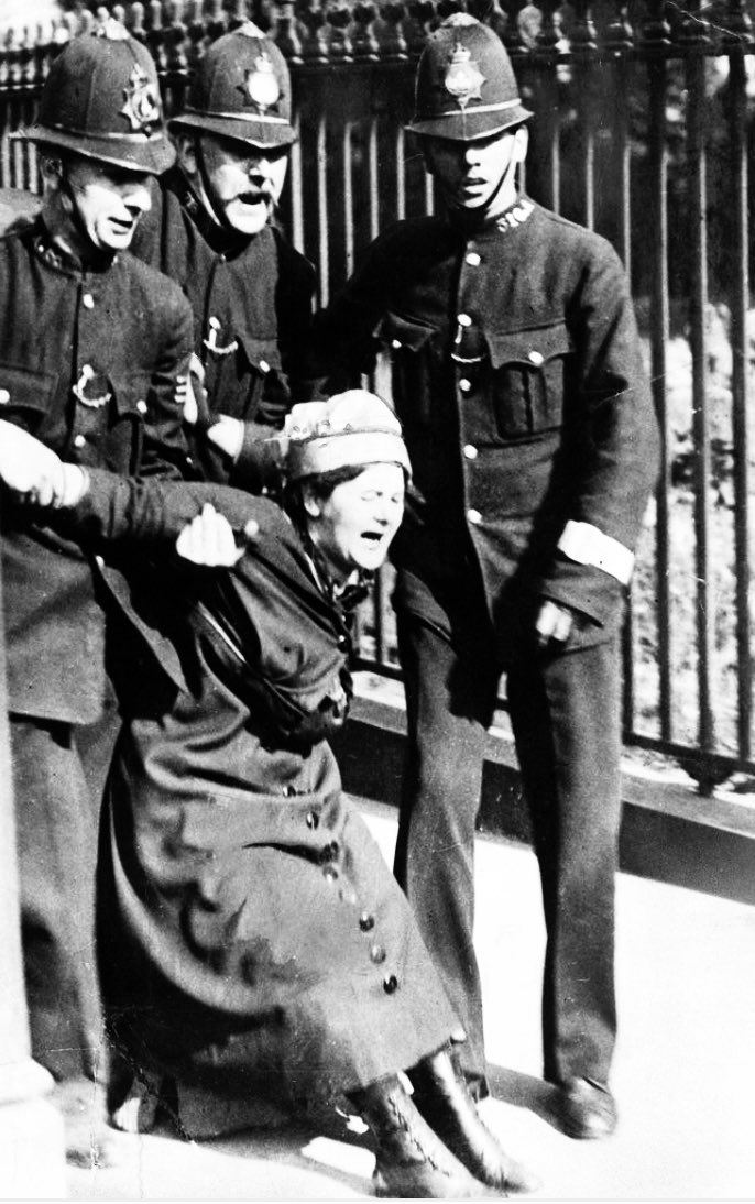 Andrew Levi tweet media