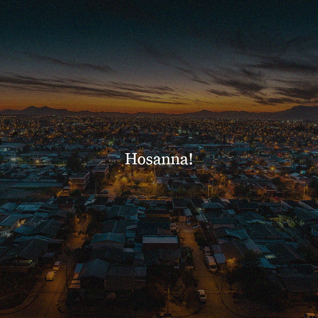 They took palm branches and went out to meet him, shouting, “Hosanna!” “Blessed is he who comes in the name of the Lord!” “Blessed is the king of Israel!” - John 12:13