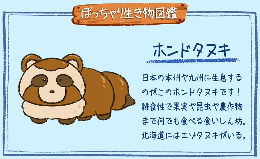 ぽっちゃり昆虫図鑑 略してぽちゃこん Twitterissa ぽっちゃり生き物図鑑 No 048 ホンドタヌキ ぽっちゃり体型の生き物を毎日描いています 今日は本州に棲む ホンドタヌキです 生き物 絵 イラスト Illustration 狸 1日1絵 一日一絵 絵描きさんと