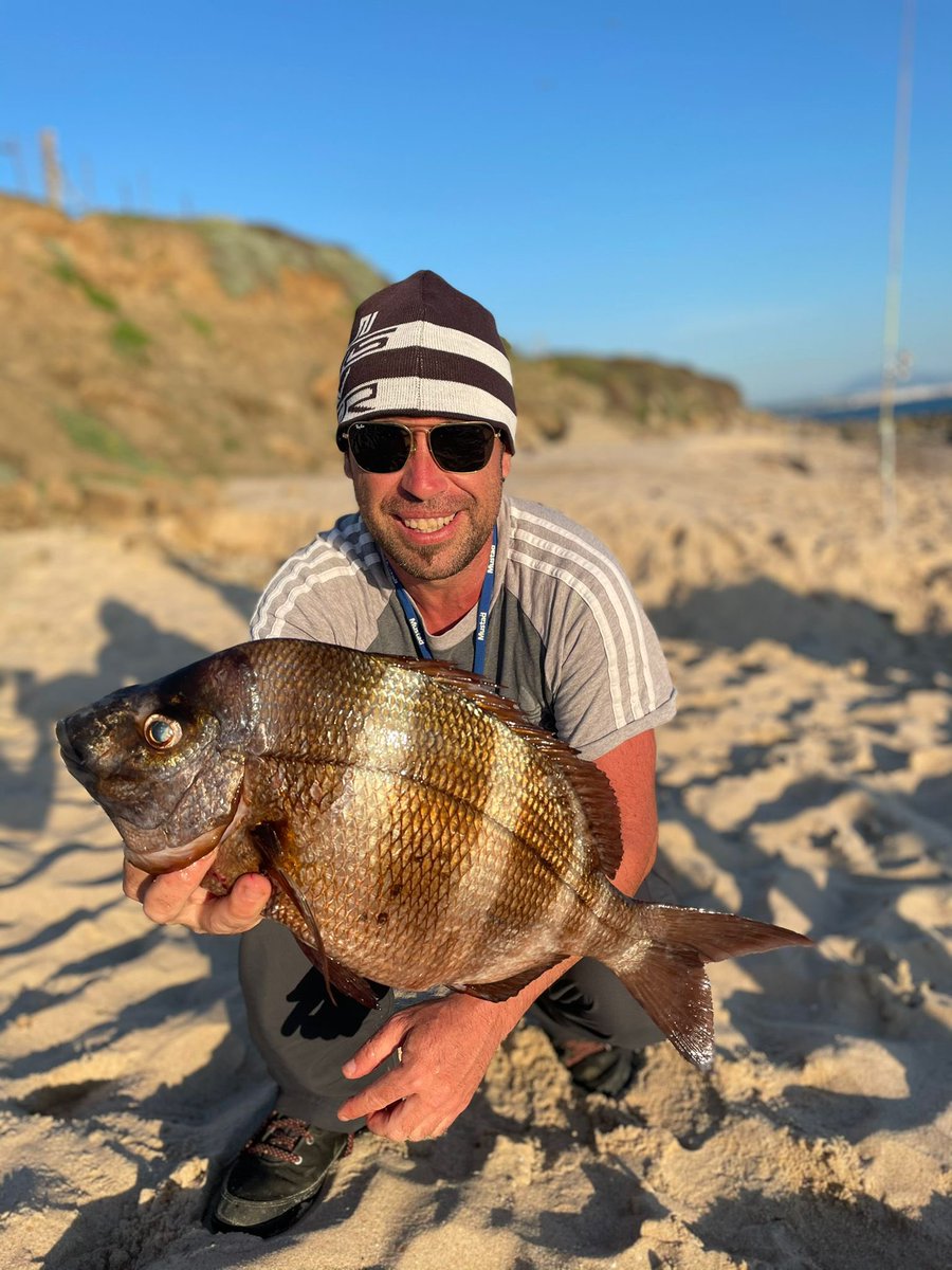 gork10's tweet photo. #dorada #sargosordao https://t.co/9d3uo0uLqx
