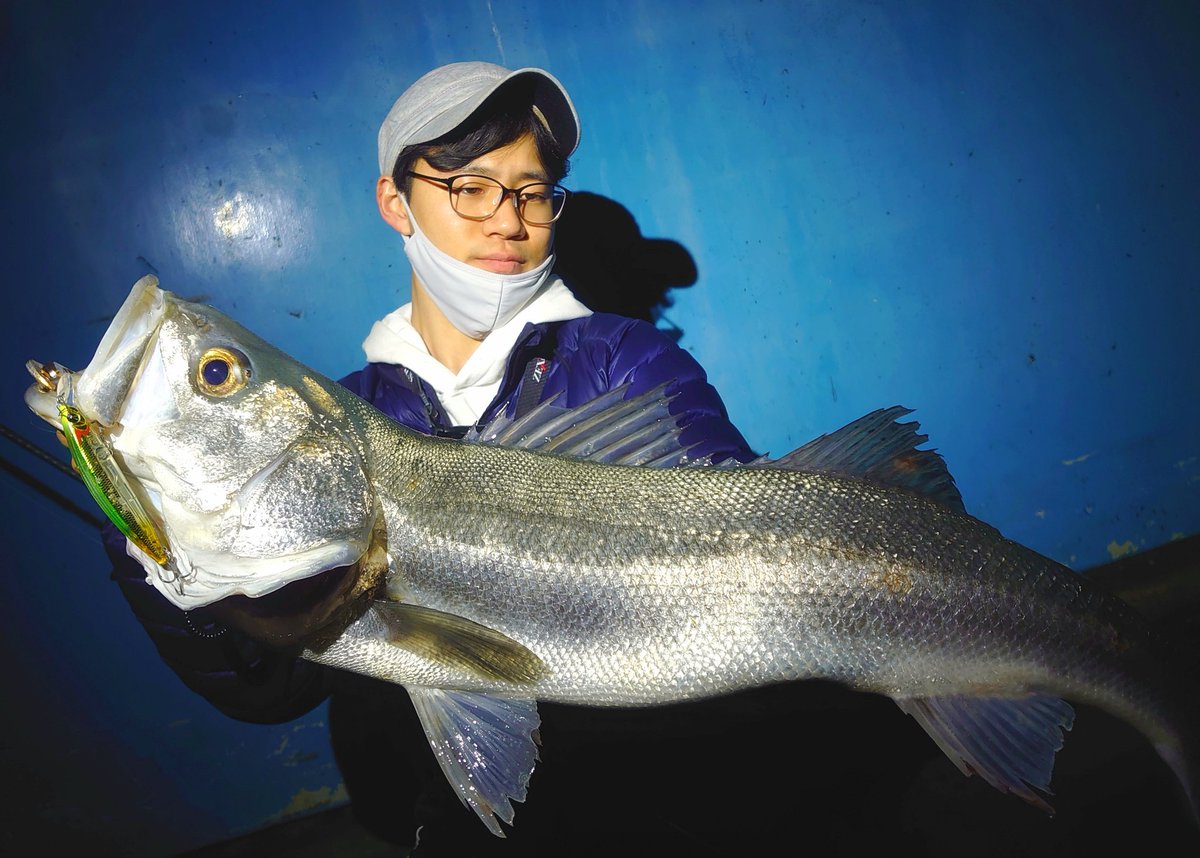釣り眼鏡 Zen太郎 初場所で狙い通りに反応してくれた1本 この後が中々厳しかったけど それもまた経験 そして 気になる で終わるんじゃなくて 気になったら実行するのが大切だと改めて実感 弾丸釣行 これに終了 ｵﾔｽﾐﾅｻｲ 同じ魚です シーバス