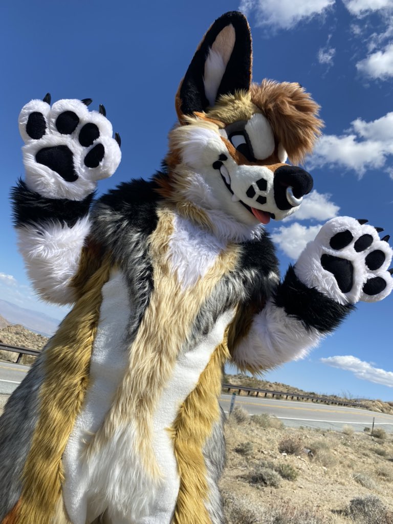 deserteeth's tweet photo. https://t.co/ep8fSYtcTe