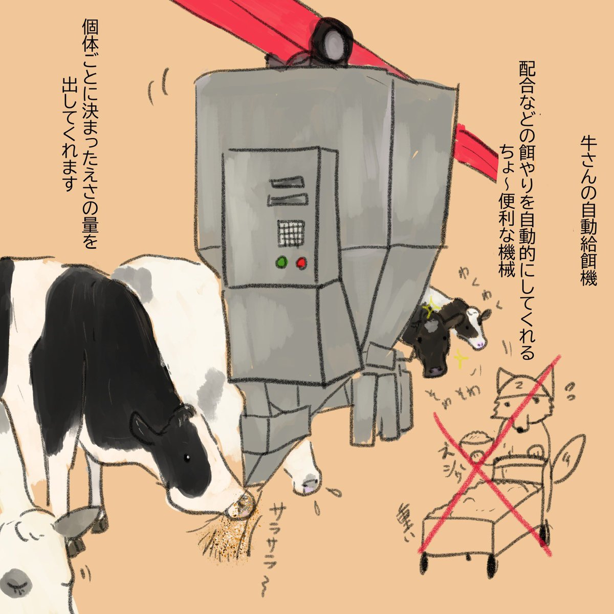 牛さんの自動給餌機の話🐄 