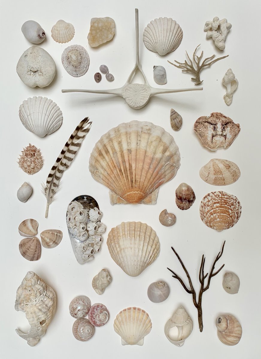 Lego Lost At Sea tweet media