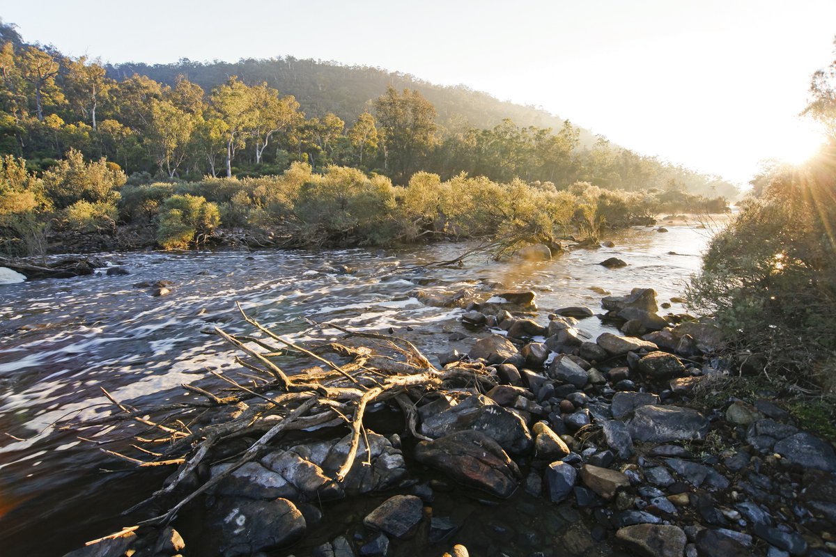 #DYK that rivers support the highest rate of biodiversity compared to any other ecosystem... but less than 10% are protected?  

Here's a small selection of the rivers that AWC protect (more on our FB), in honour of Intl #dayofactionforrivers.
 
📸 W Lawler/AWC