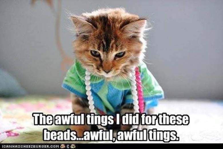 It is Fat Tuesday...