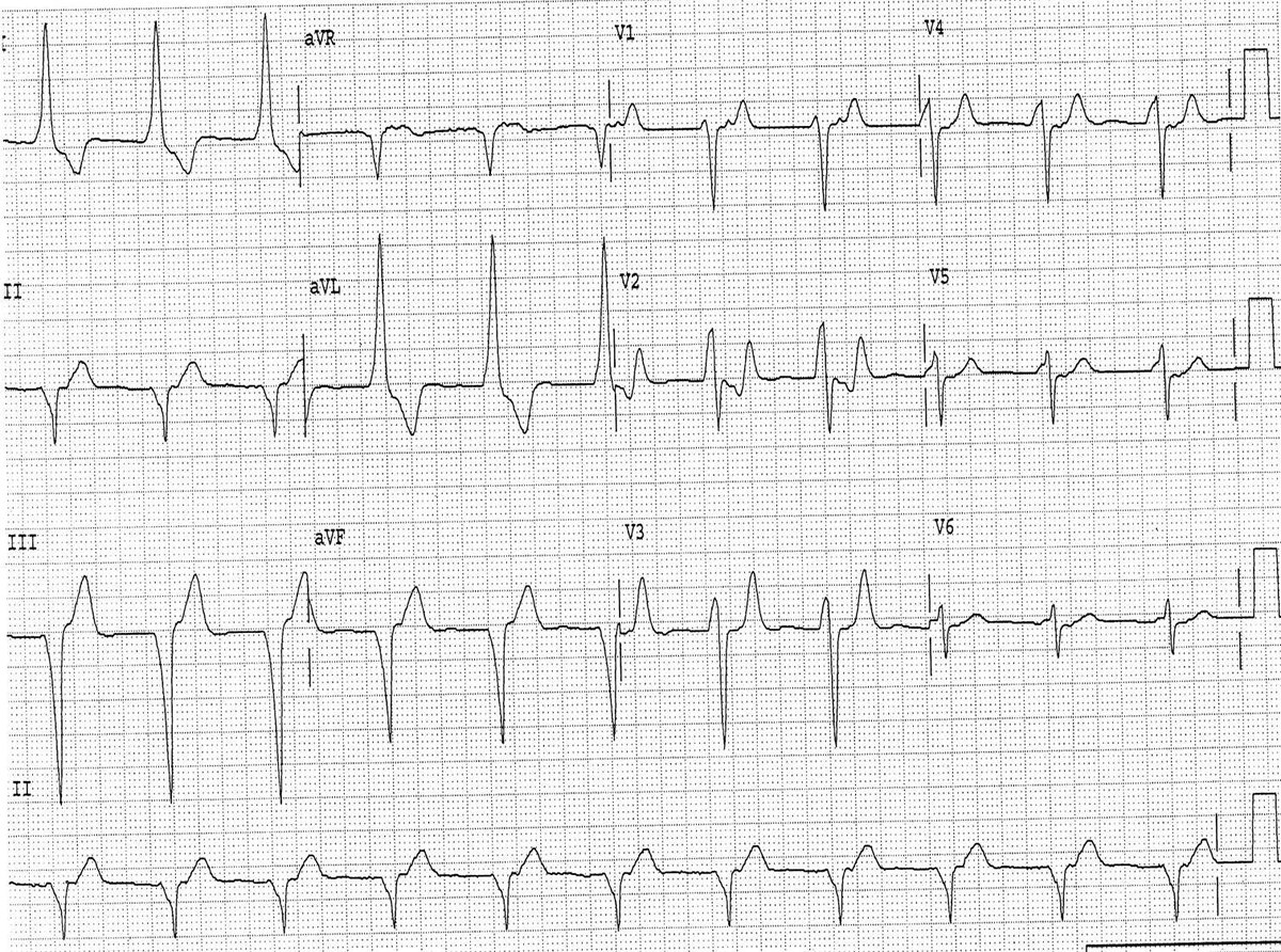 Philip J Podrid MD tweet media