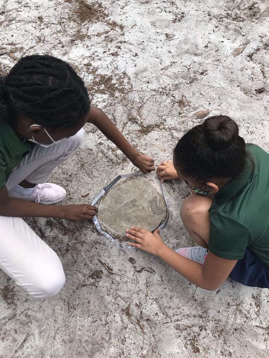 Robin Levin tweet media