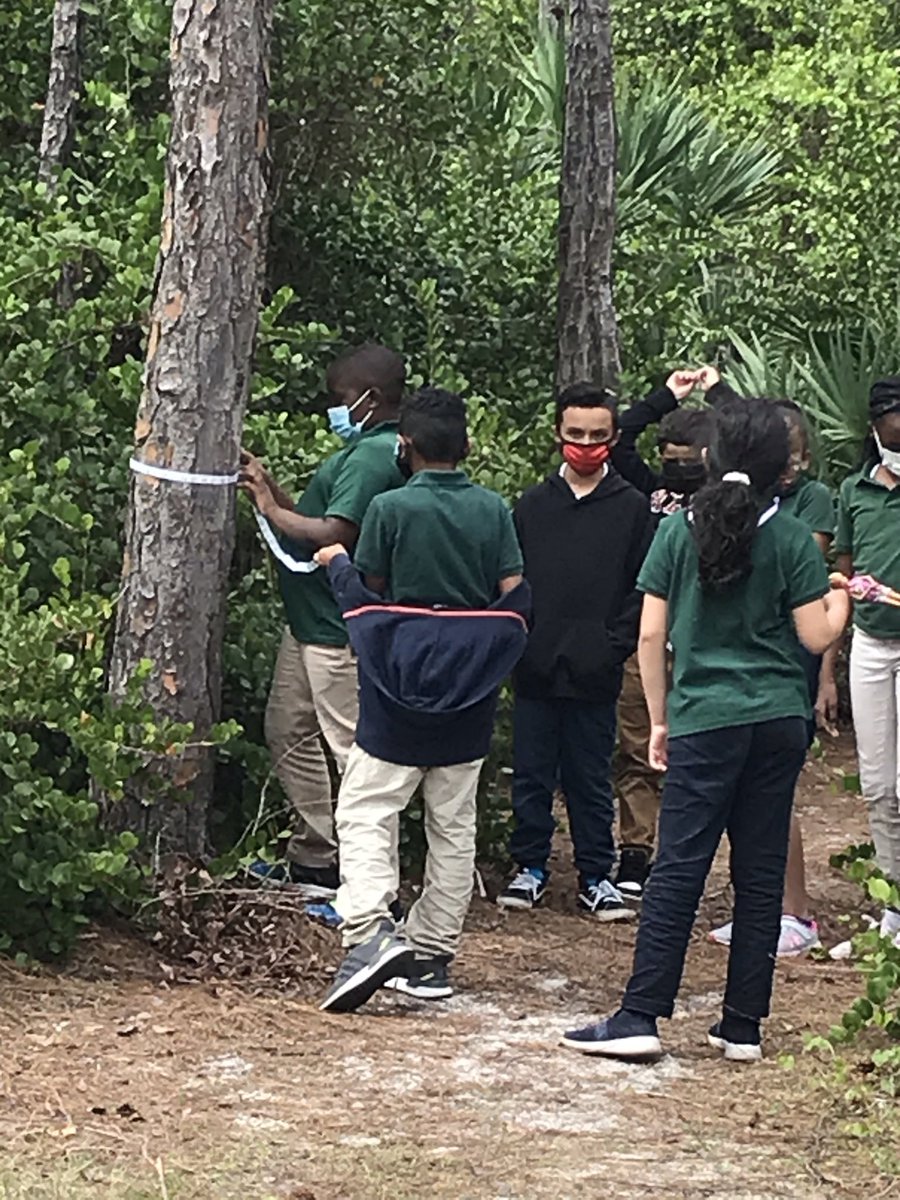 Robin Levin tweet media