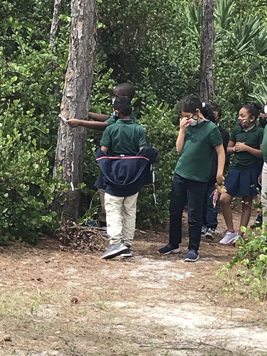 Robin Levin tweet media