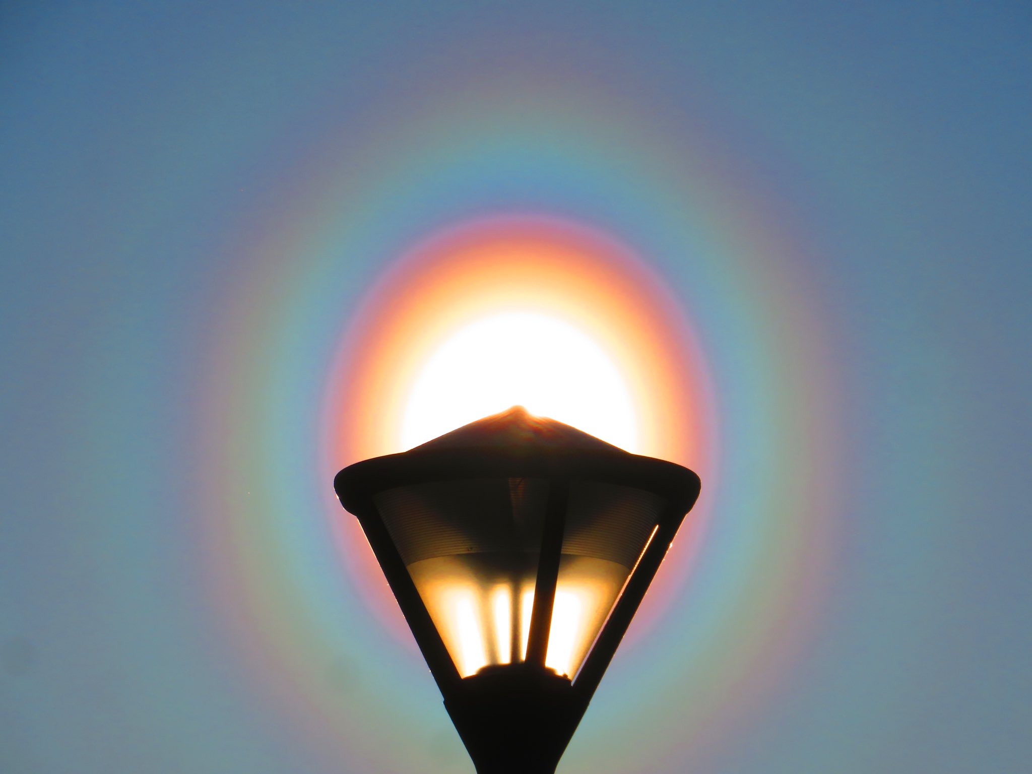 荒木健太郎 すごい花粉光環でてる スギ花粉などの球形に近い花粉で光が回折して発生する大気光学現象です きょうみたいに雨上がりで晴れて風が吹いているときは好条件 太陽は直視せず 建物や街頭で太陽をぎりぎり隠すと肉眼でもはっきり見えます 綺麗