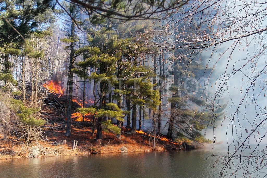 eiottphoto's tweet photo. Approx 10am, @OrangeFireDept and @iaff1198 were dispatched to the Maltby Lake trails for a brush fire. First arriving crews found a large brush fire quickly spreading up the hill due to strong winds. Mutual aid from @NewHavenFire &amp; Derby. Quickly u/c. @ctfirephoto https://t.co/kFJvcmBWqS