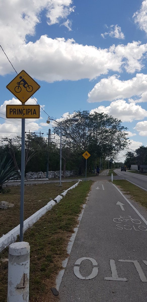 Ciclovías intermunicipales en Yucatán.

¿Qué es esto, Holanda?

🧵